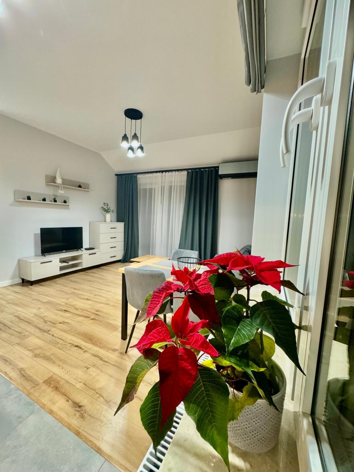 Apartament Olenka Busko-Zdrój Eksteriør bilde