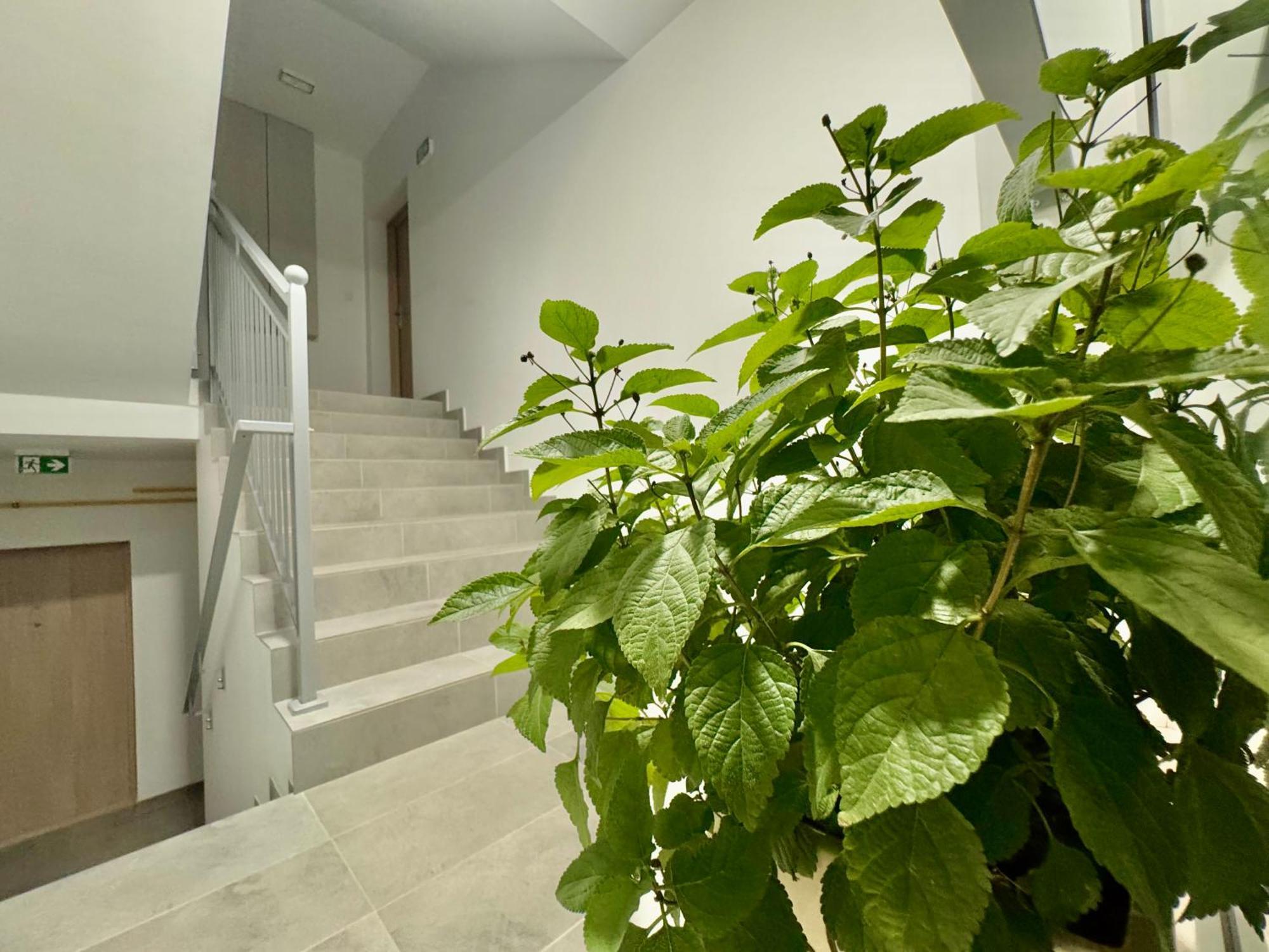 Apartament Olenka Busko-Zdrój Eksteriør bilde